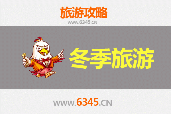 东莞南城街道冬季旅游攻略：都市暖冬里的悠闲时光